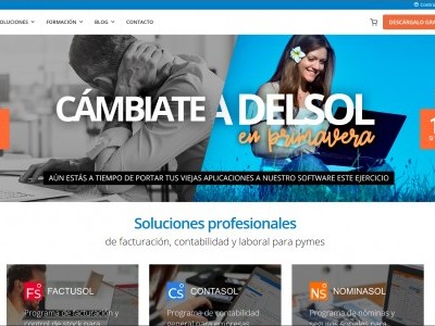 Software DELSOL